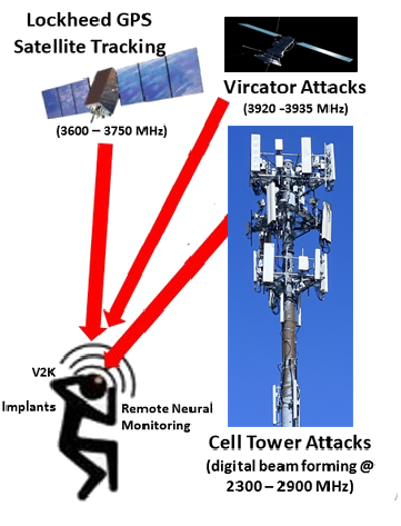 CIA Lab Rat tweet media