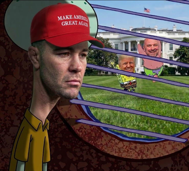 dame margera tweet media