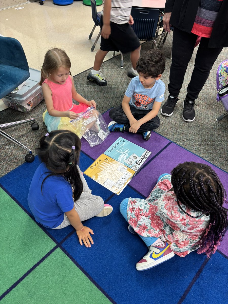 CSE Pre-K tweet media