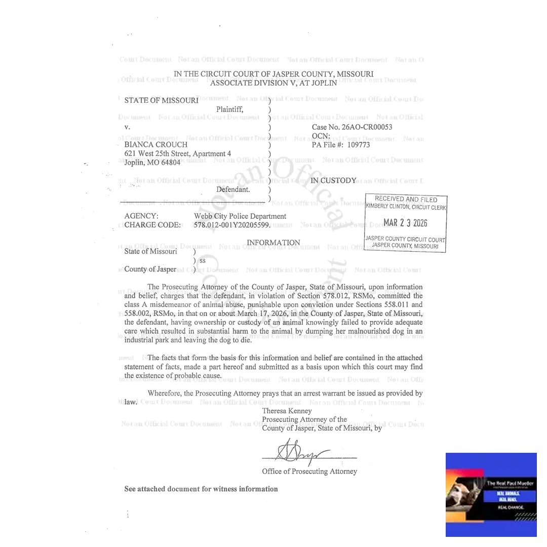 Paul Mueller tweet media