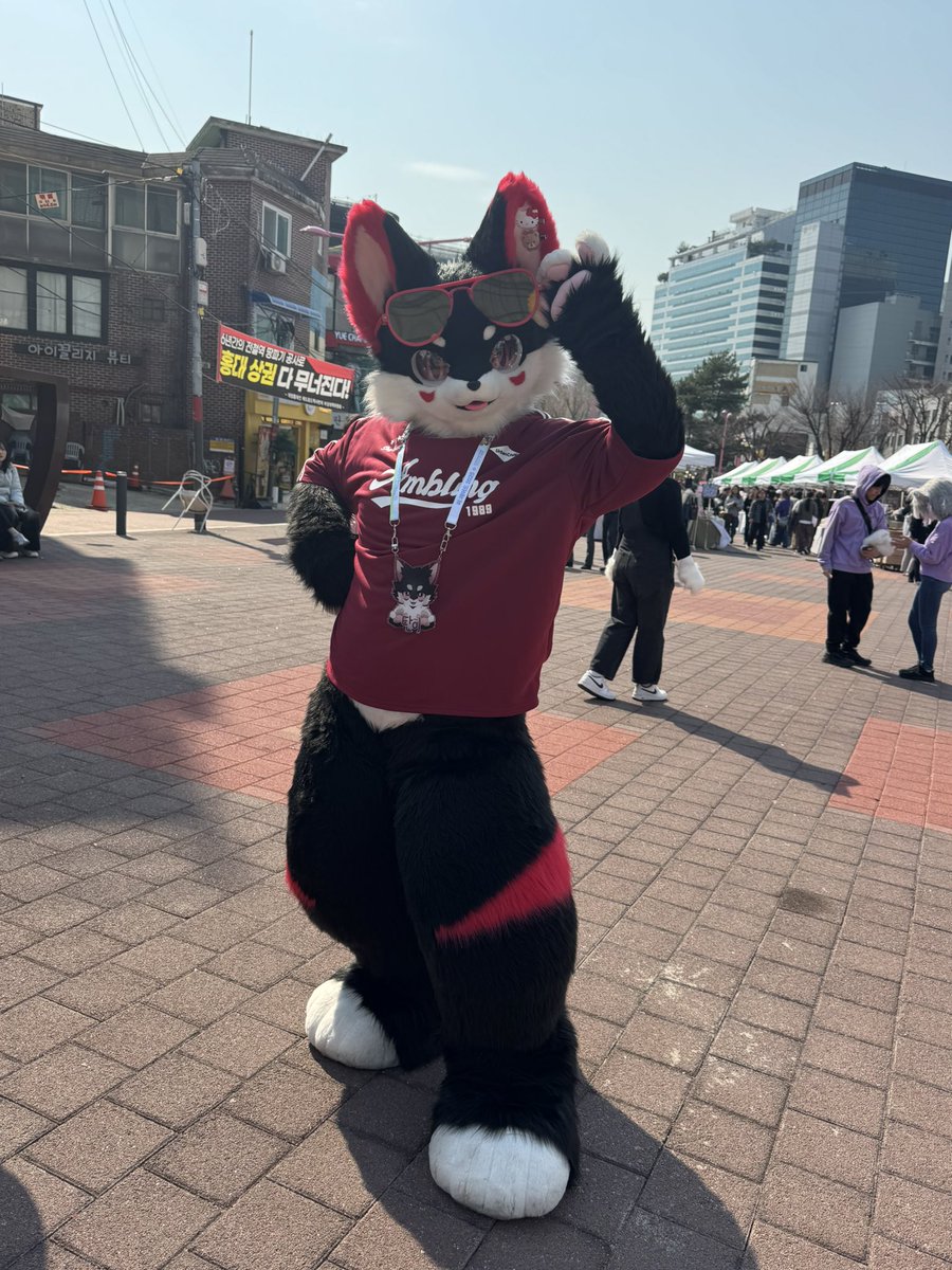 홍비 (3코페토/퍼클일!) tweet media