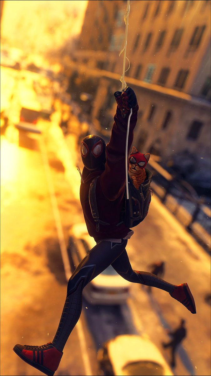 𝐁𝐫𝐮𝐧𝐨_𝐀𝐫𝐚𝐮𝐣𝟎 tweet media