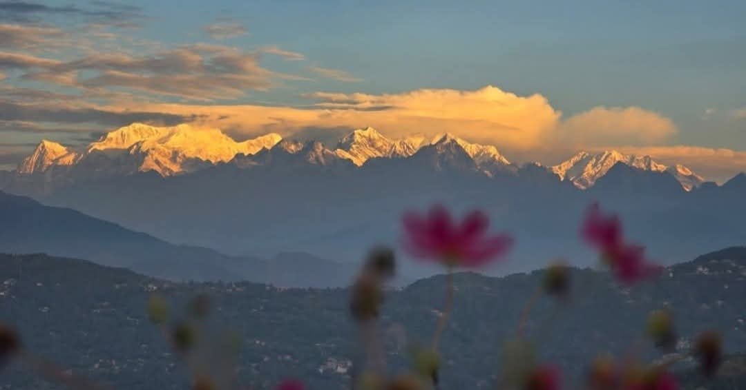 Joydeep Ganguly tweet media