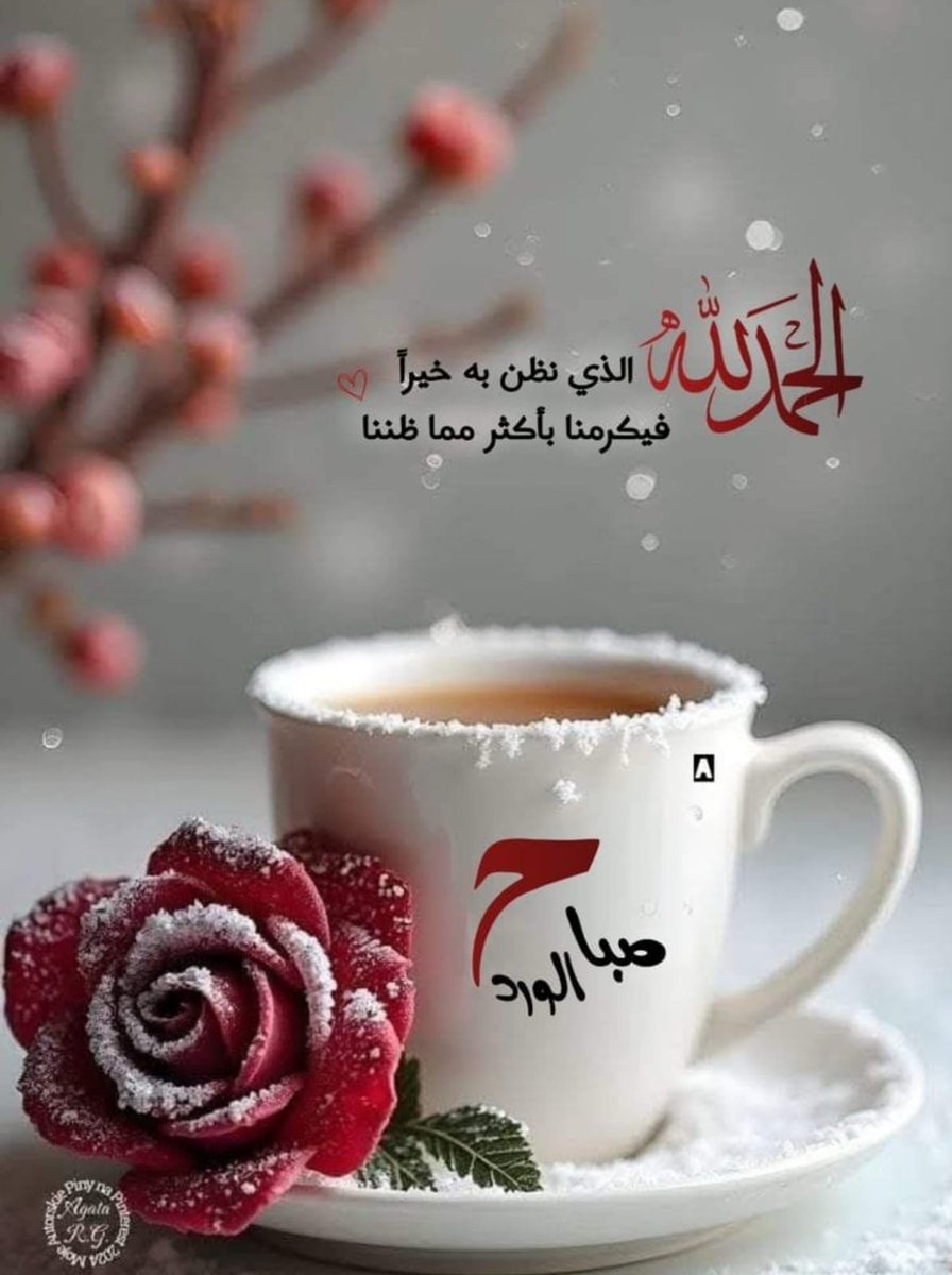amjad_alshidi's tweet photo. https://t.co/gXnOJ4BzSh