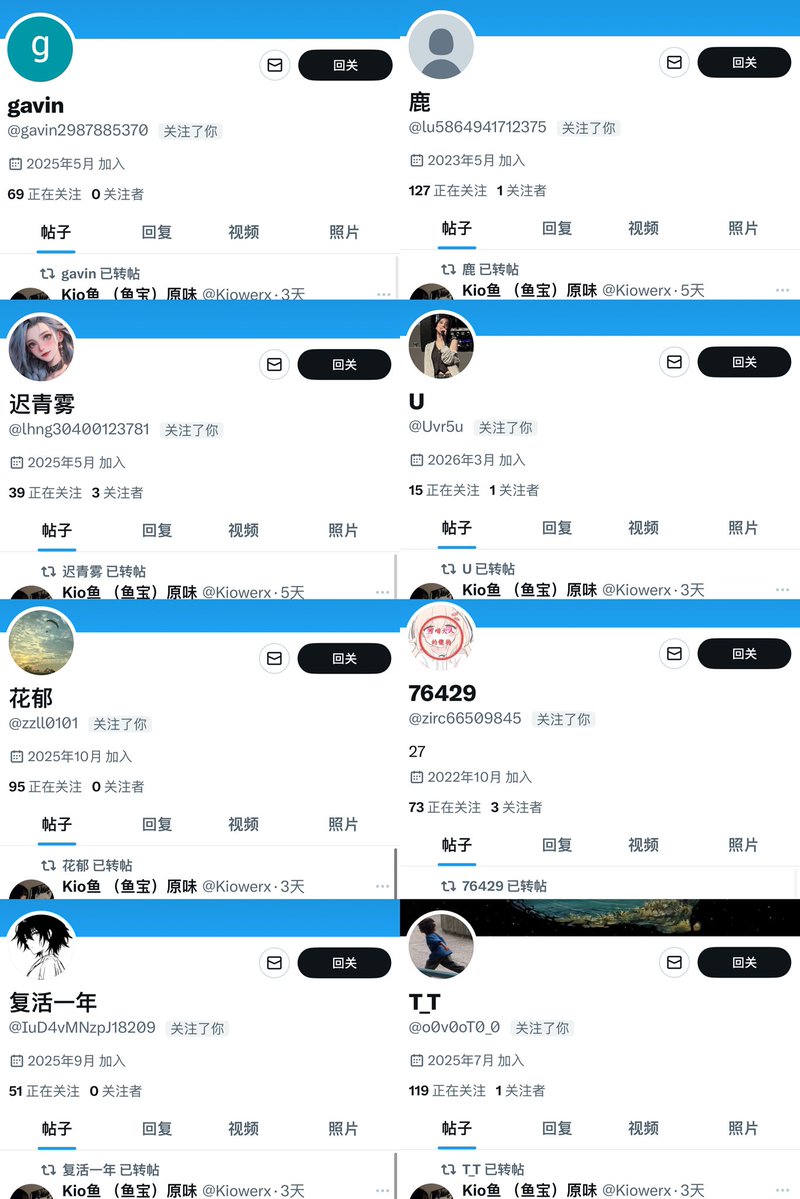 Kio鱼 （鱼宝）原味 tweet media