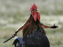 Solo Riguezu tweet media