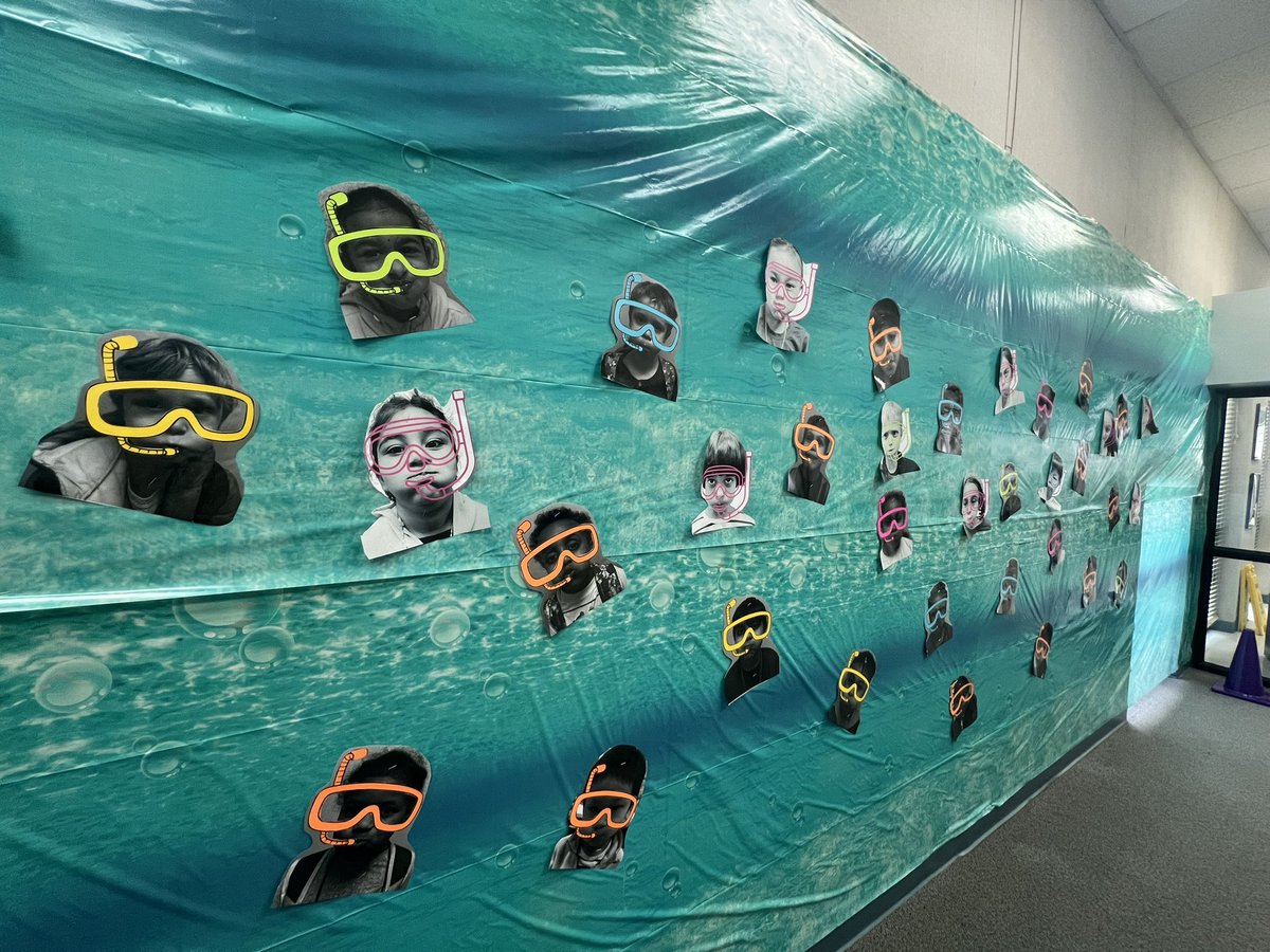 Aurelia, PSC🖤 tweet media