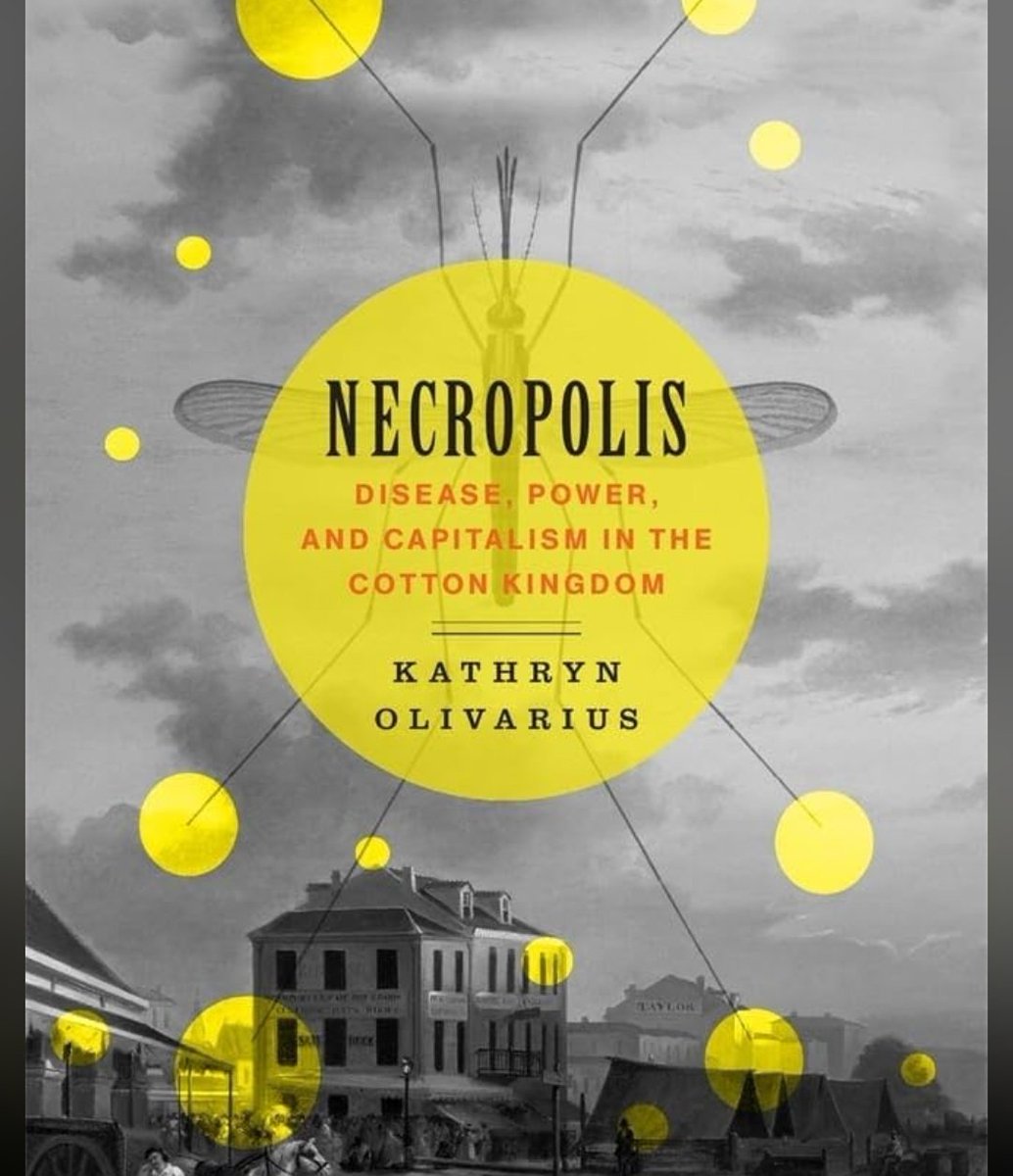 Statue Of Angberty🗽 tweet media