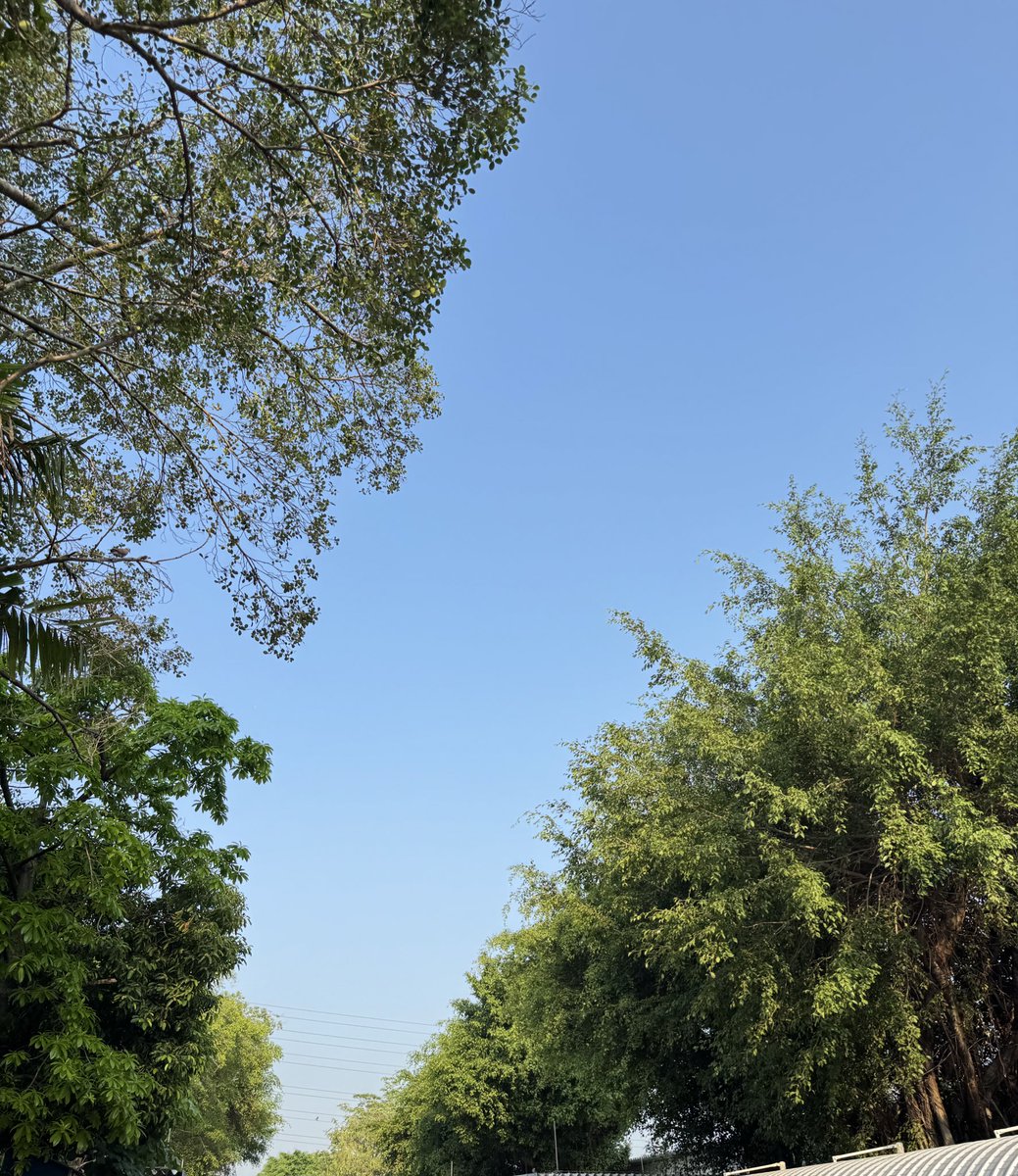 B.sky🌼 tweet media