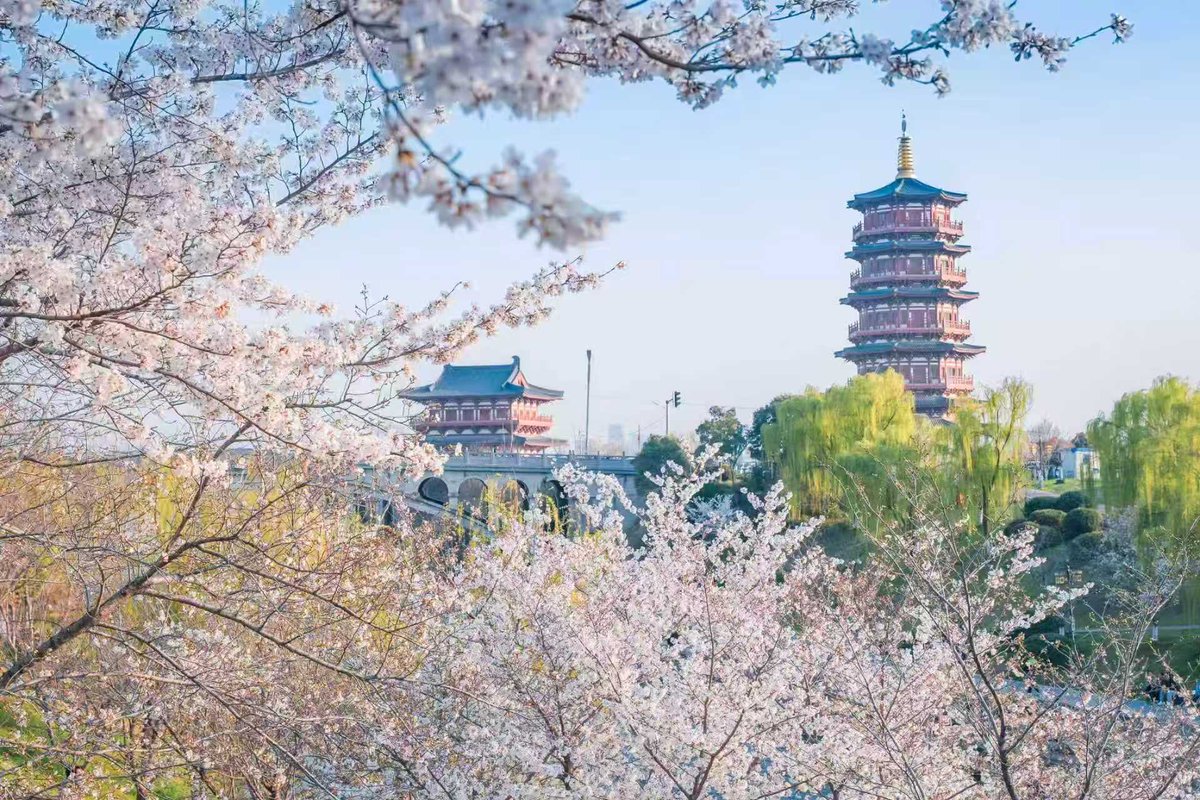 inLuoyang tweet media