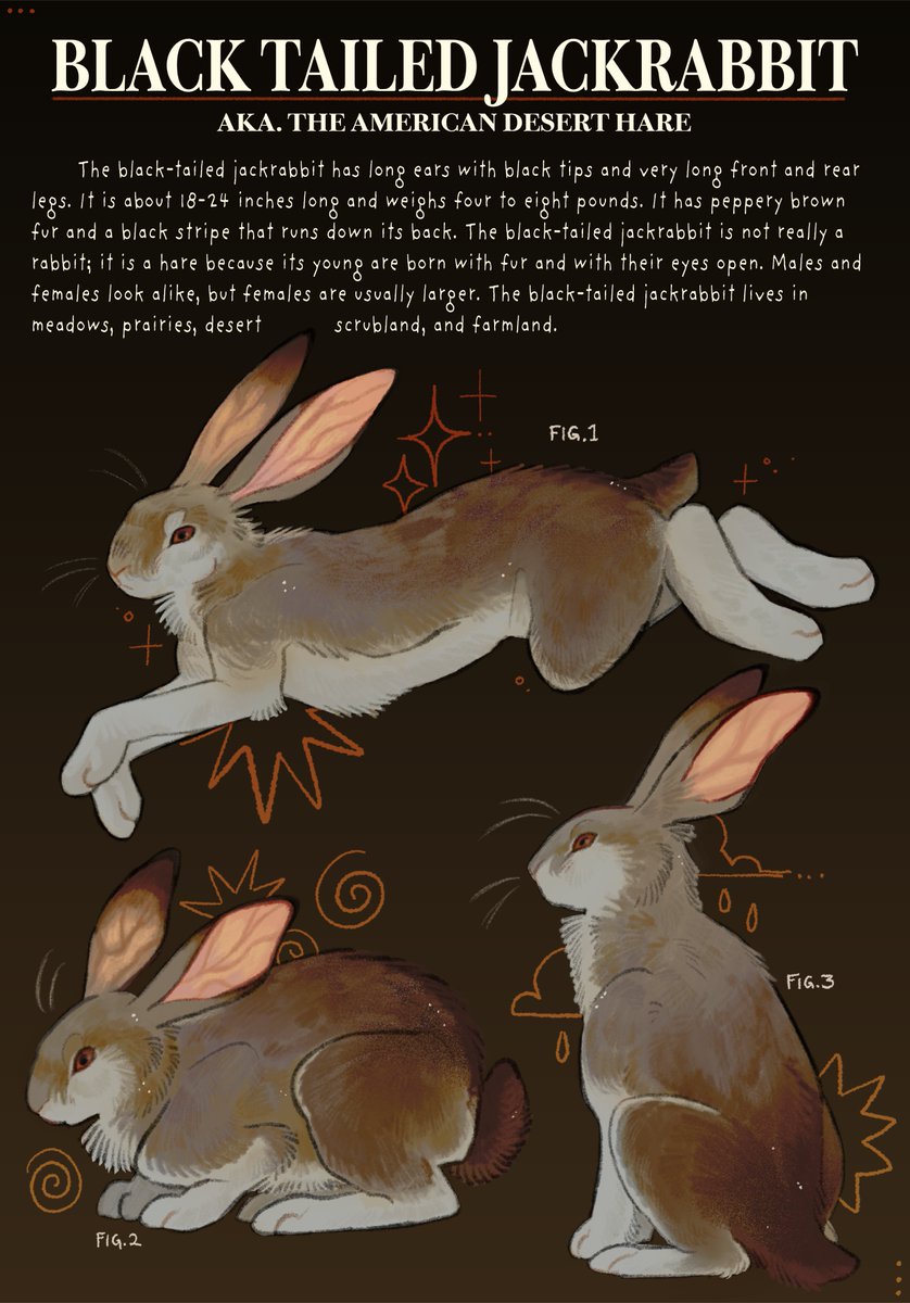 fable🪽 tweet media