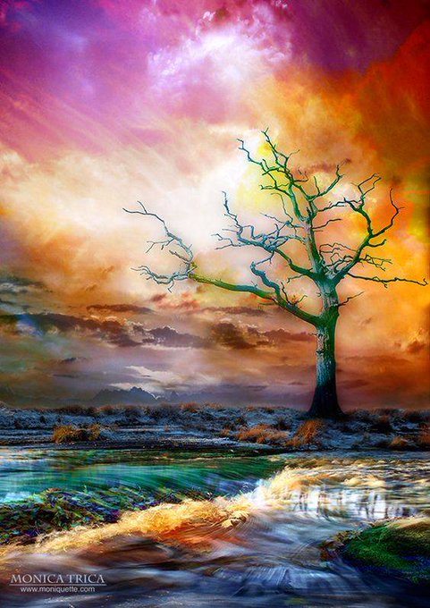 MadQueenStorm's tweet image. the passage of your tempest
a thunderous roar shivering my soul 
in its wake a changed landscape 
forever altered from before  

#micropoetry #microstory #mywords #vss365 

#art Monica Trica