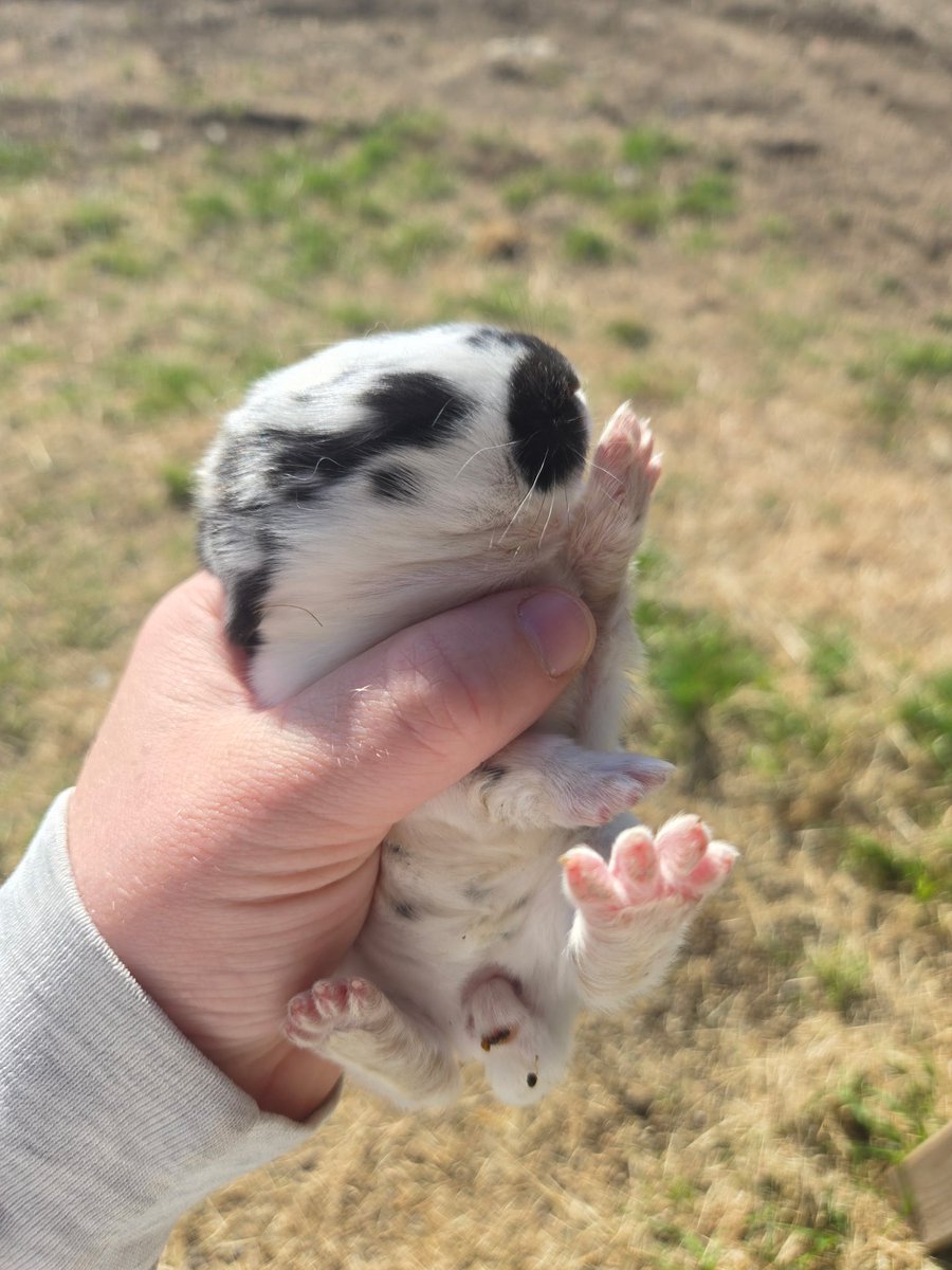 epiphani 🍄 tweet media