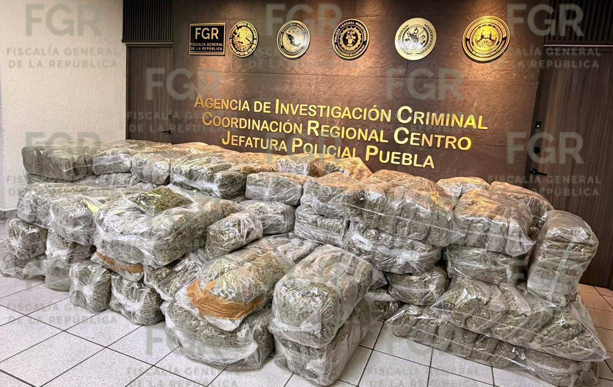 La #FGR a través del #MPF, adscrito a la #FECOR en Puebla, obtuvo vinculación a proceso en contra de una persona por su probable participación en el delito de contra la salud en la modalidad de transporte de marihuana. ▶️ fgr.org.mx/es/FGR/Prensa/…