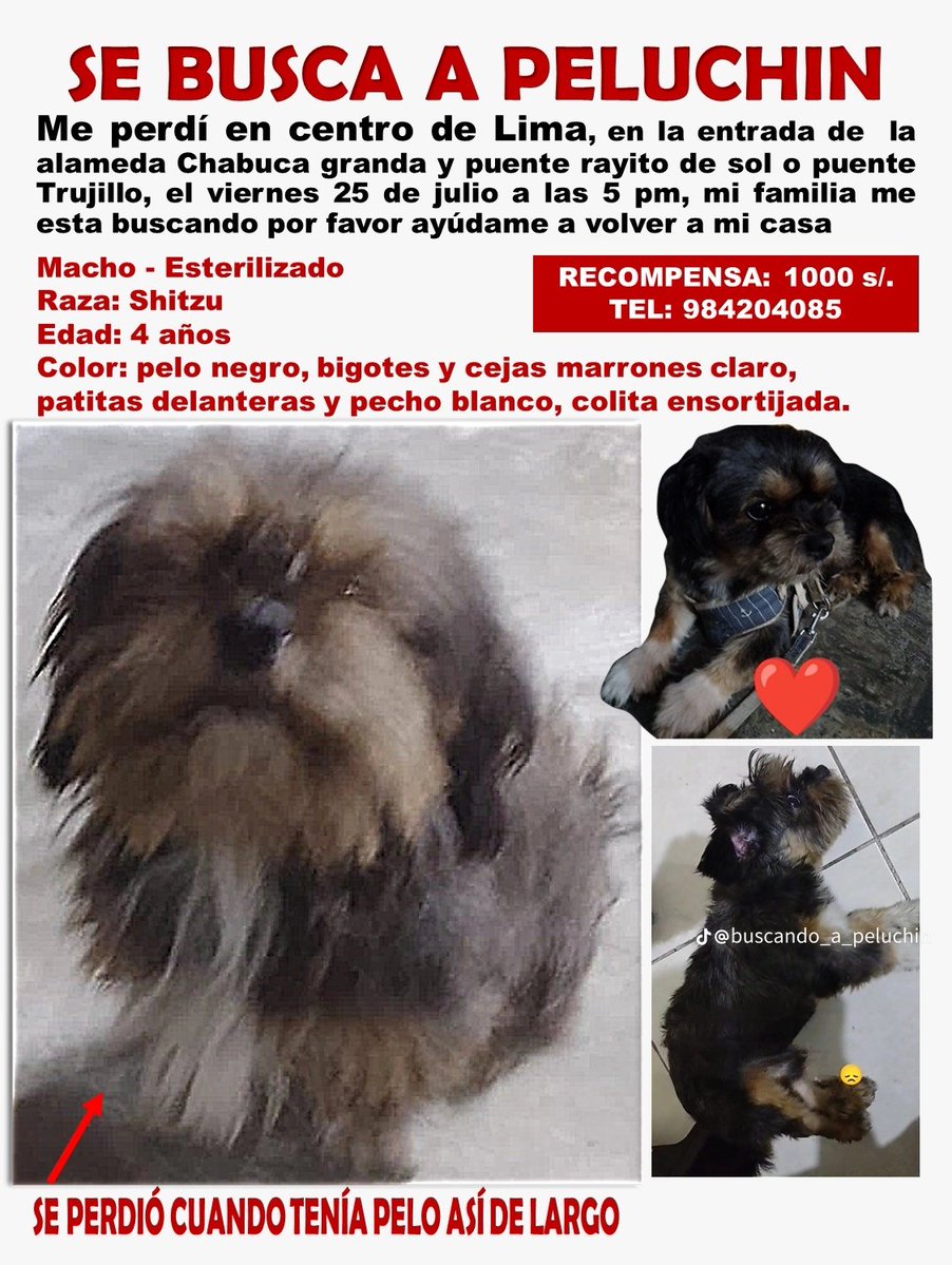 Dane Gámez tweet media