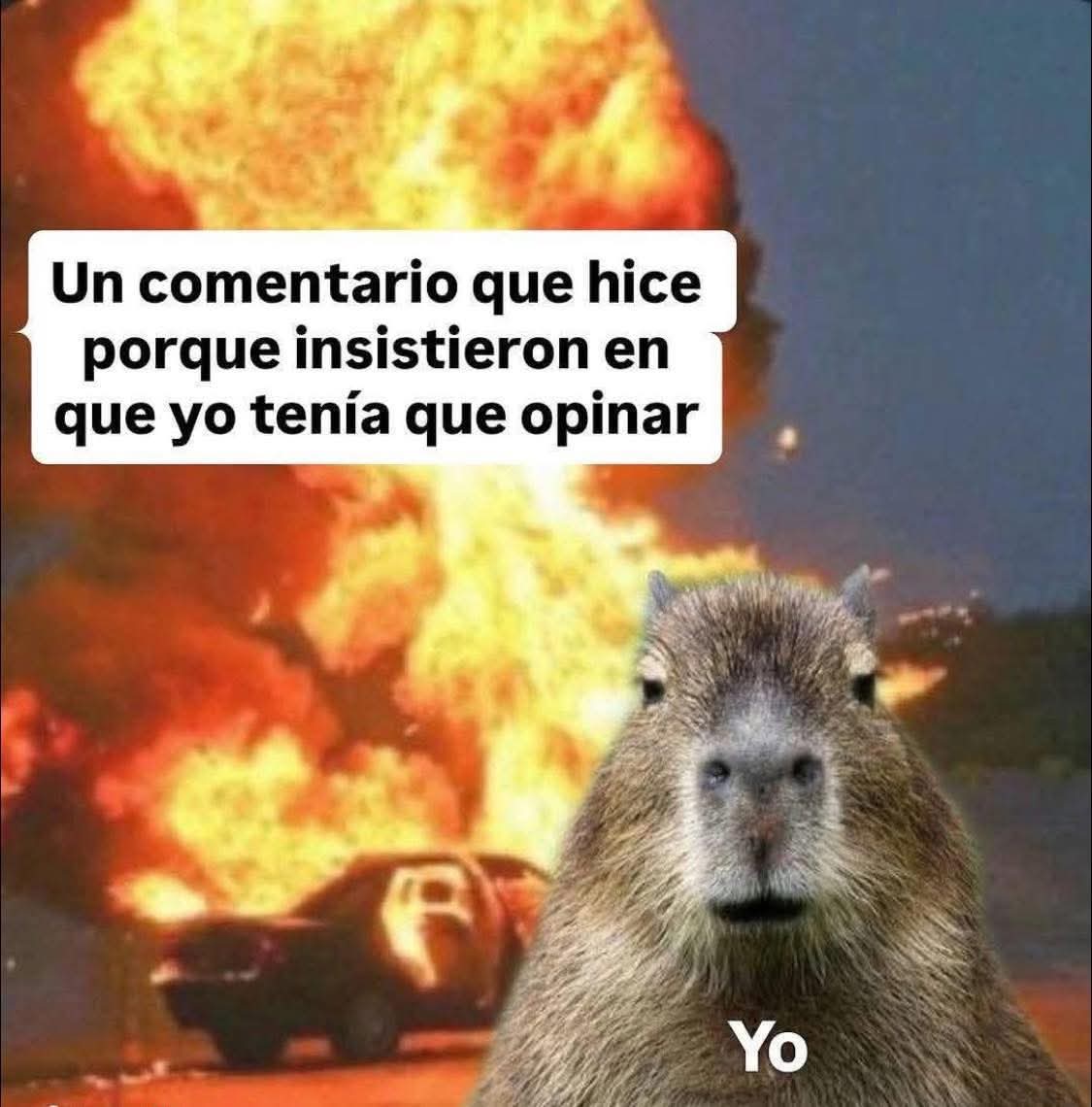 ❤️🤍 Se llama Monika ❤️🤍 tweet media