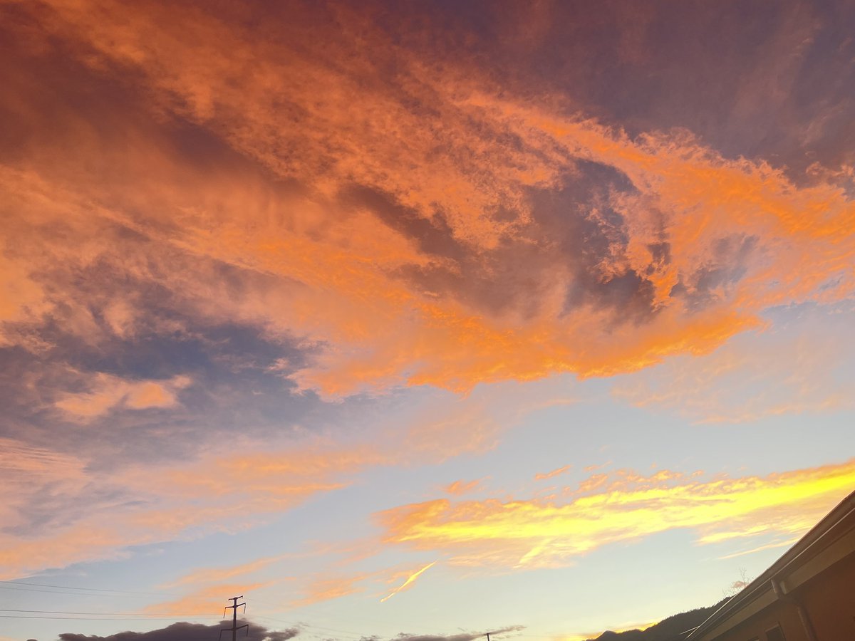 Plan Blue tweet media