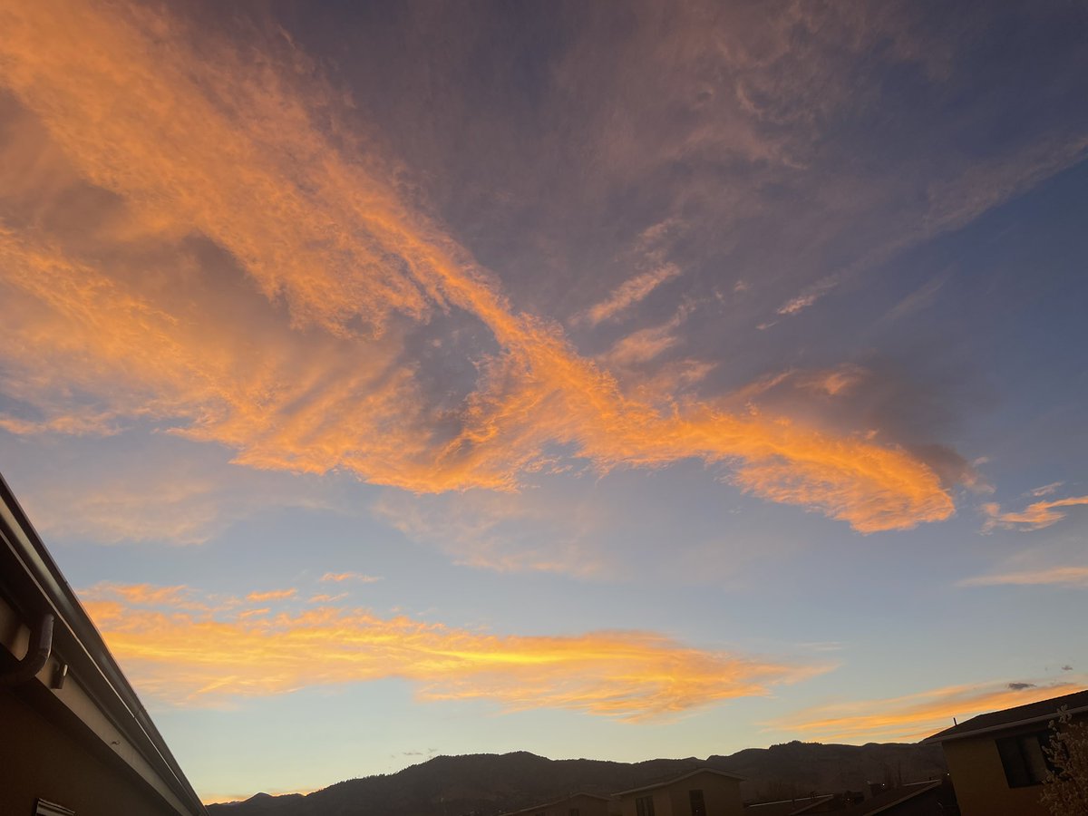 Plan Blue tweet media