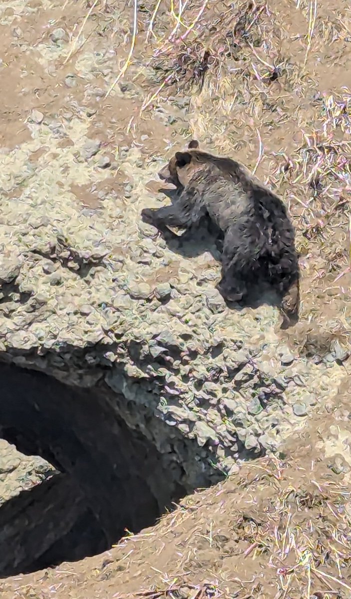 銭函トレッキング tweet media