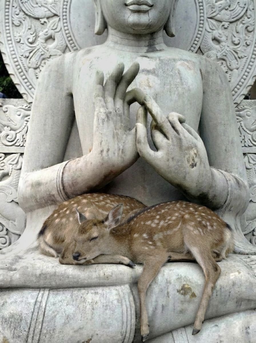 𝖼ɦ𝖾𝗋𝗋𝗒 ᶻ 𝗓 𐰁 tweet media