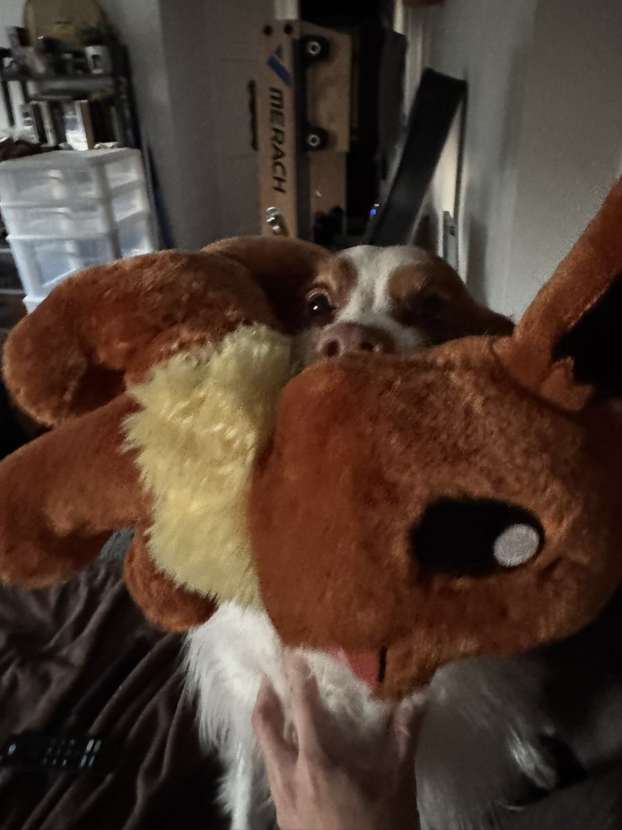 Riley 🌹 Rose tweet media