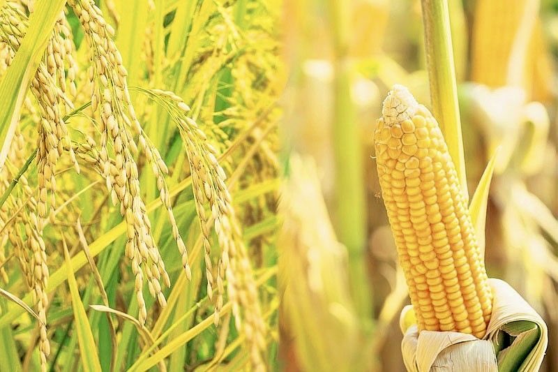 Gaurav kochar tweet media