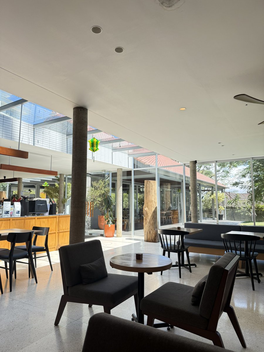 Callalilies🌻 tweet media