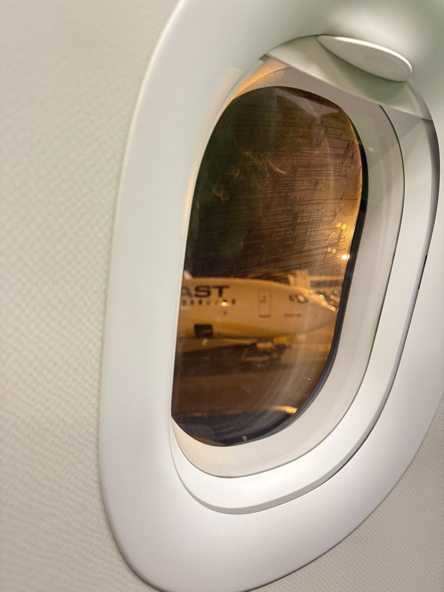 Callalilies🌻 tweet media