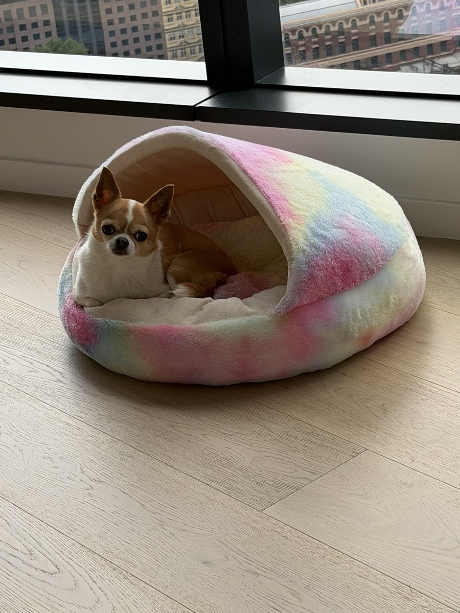 Florence the Wonder Chi tweet media