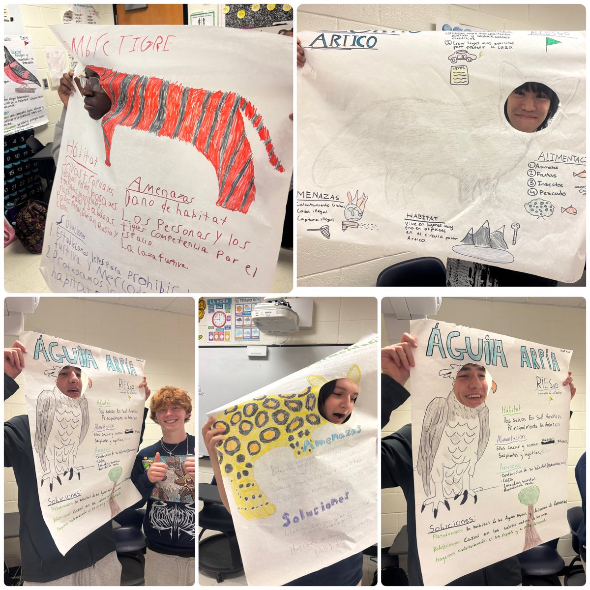 CHS World Language Department tweet media