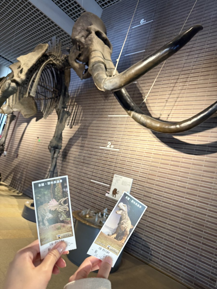 3ri797's tweet photo. 紗ちゃんと博物館🦖 https://t.co/HPEqoqvvPJ