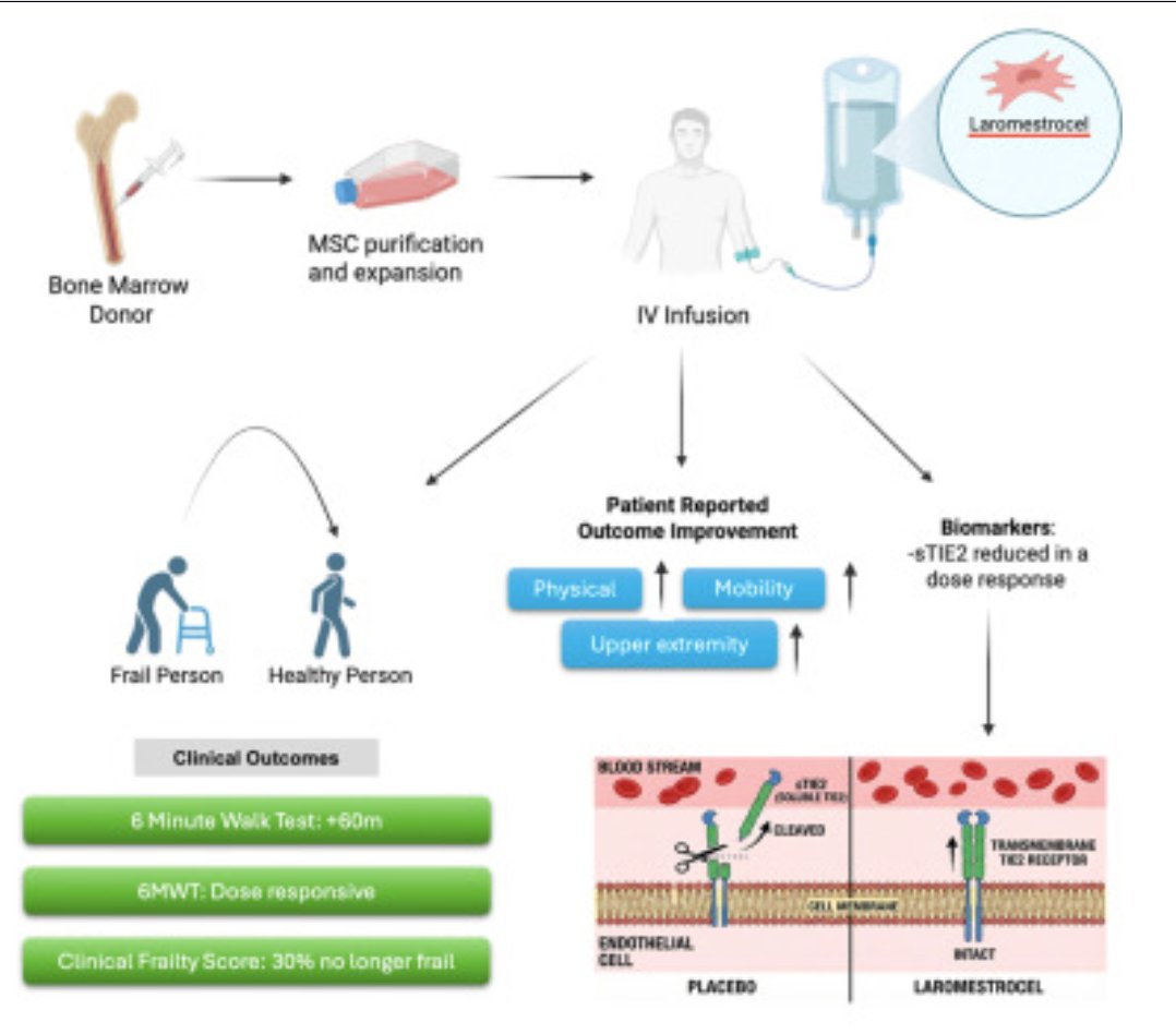 exosome's tweet image. Major breakthrough ! #clinicaltrial proves #antiaging effects of #stemcells in people.

sciencedirect.com/science/articl…