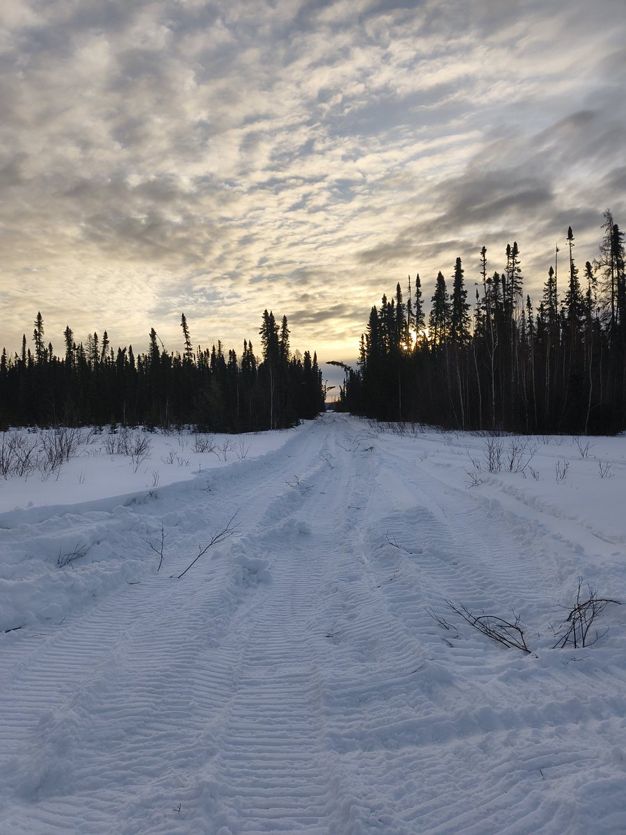 BushMasterFlex tweet media