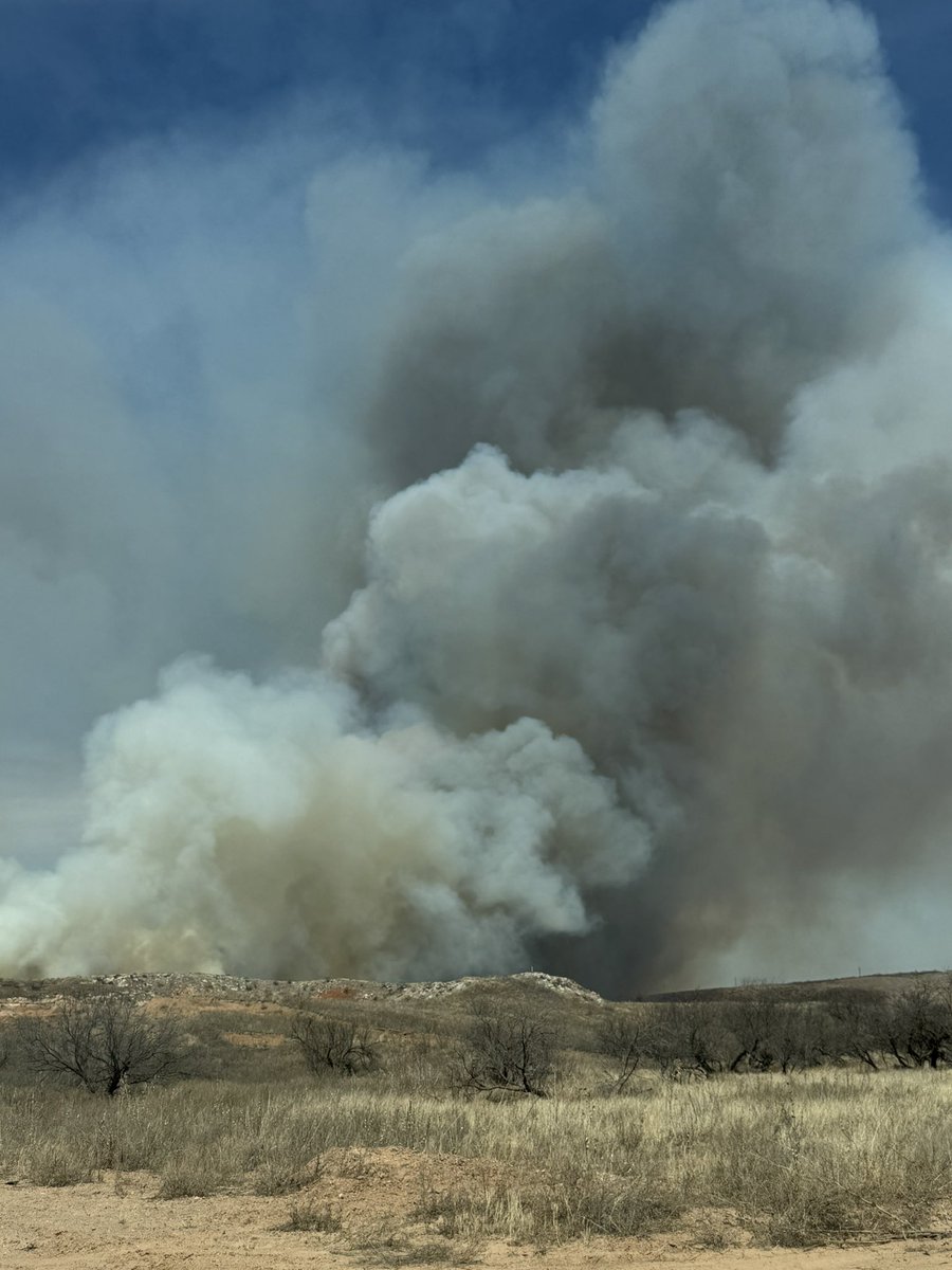 Texas Division of Emergency Management tweet media