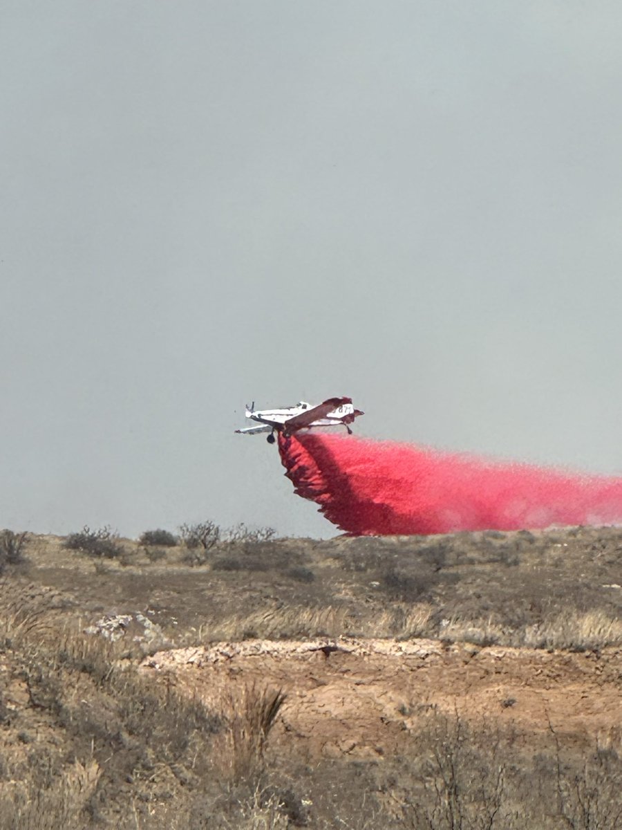 Texas Division of Emergency Management tweet media