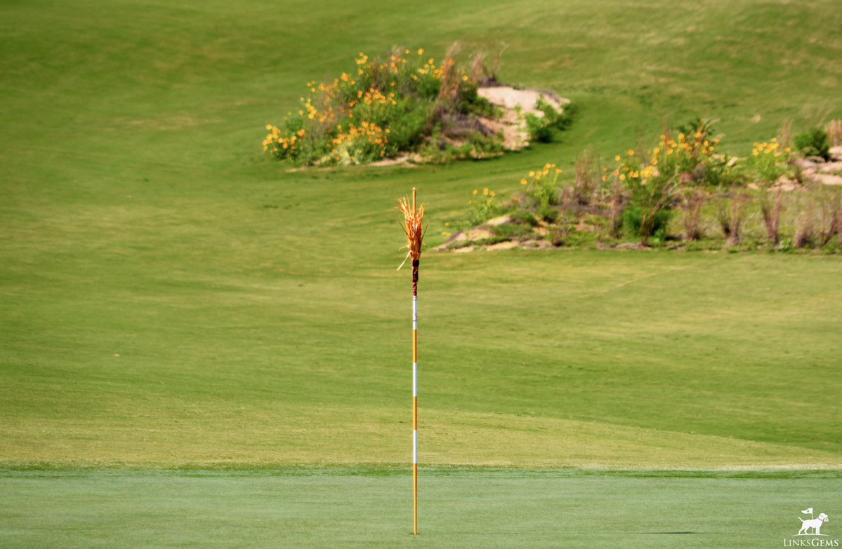 LinksGems tweet media