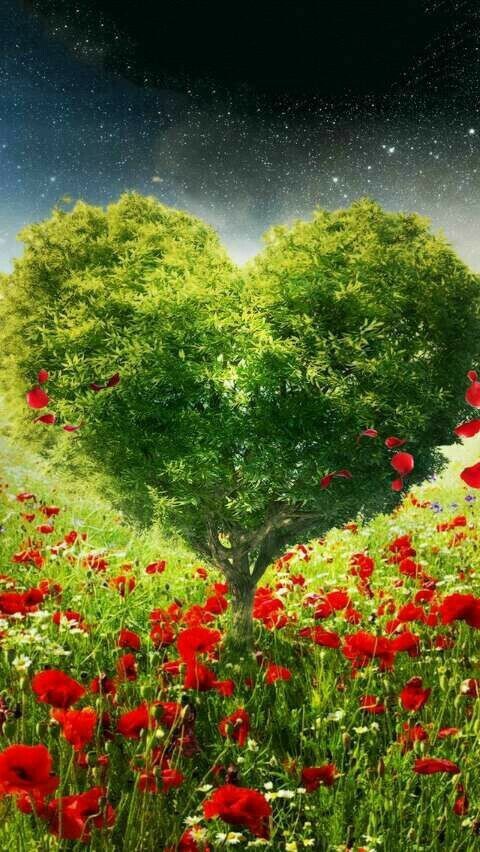 ＃命日

3月25日
この日を忘れない
最後に遺してくれた言葉
忘れることなく
今も胸の中で
生きている
安心してね✨
心からの『愛してる🩷』
しっかりと受け止めた🩷
聞こえてる…？
『俺も愛してる🩷』
誰にも負けはしない…
この愛だけは❤️