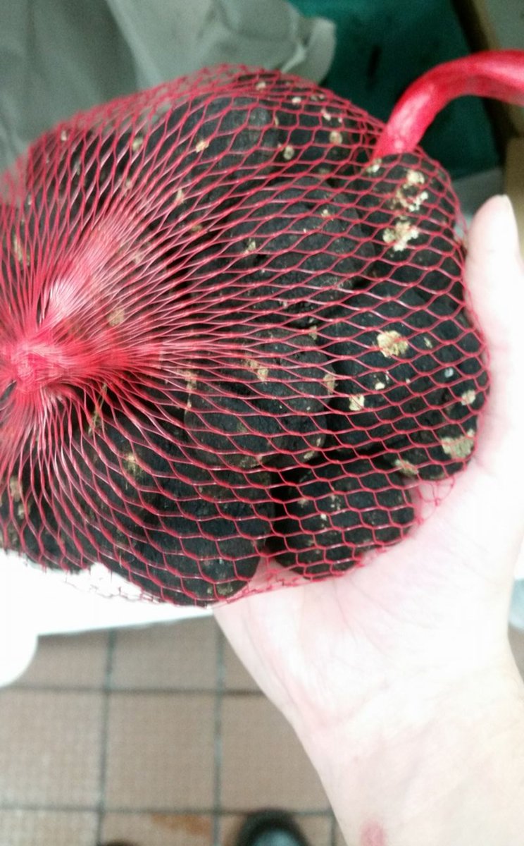 BasedTexan tweet media