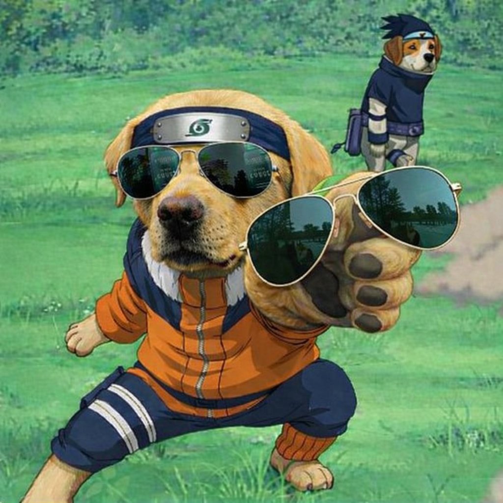 broke_even ($DOG Arc) tweet media