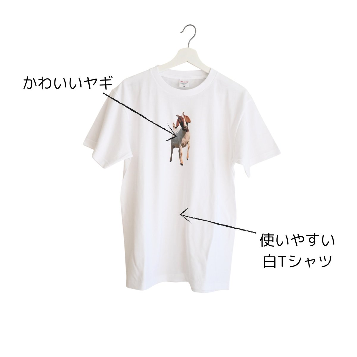 TETE｜4/5アニマーレ E-20 tweet media