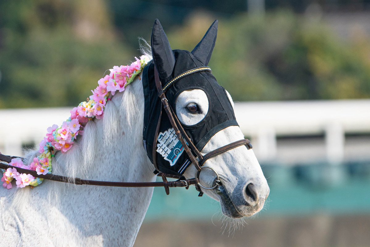 唐揚げの龍太 tweet media