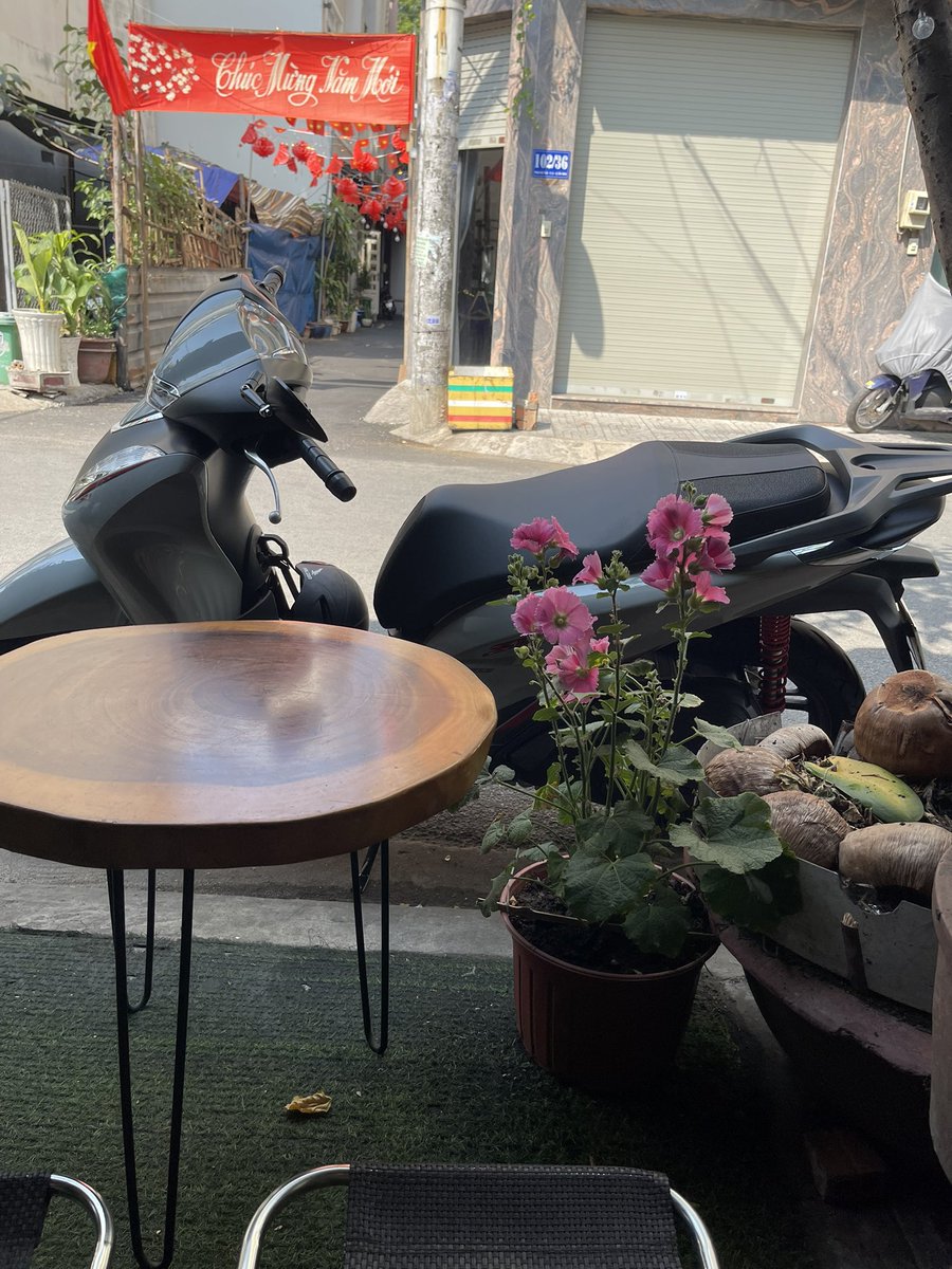 VOANQUAN tweet media