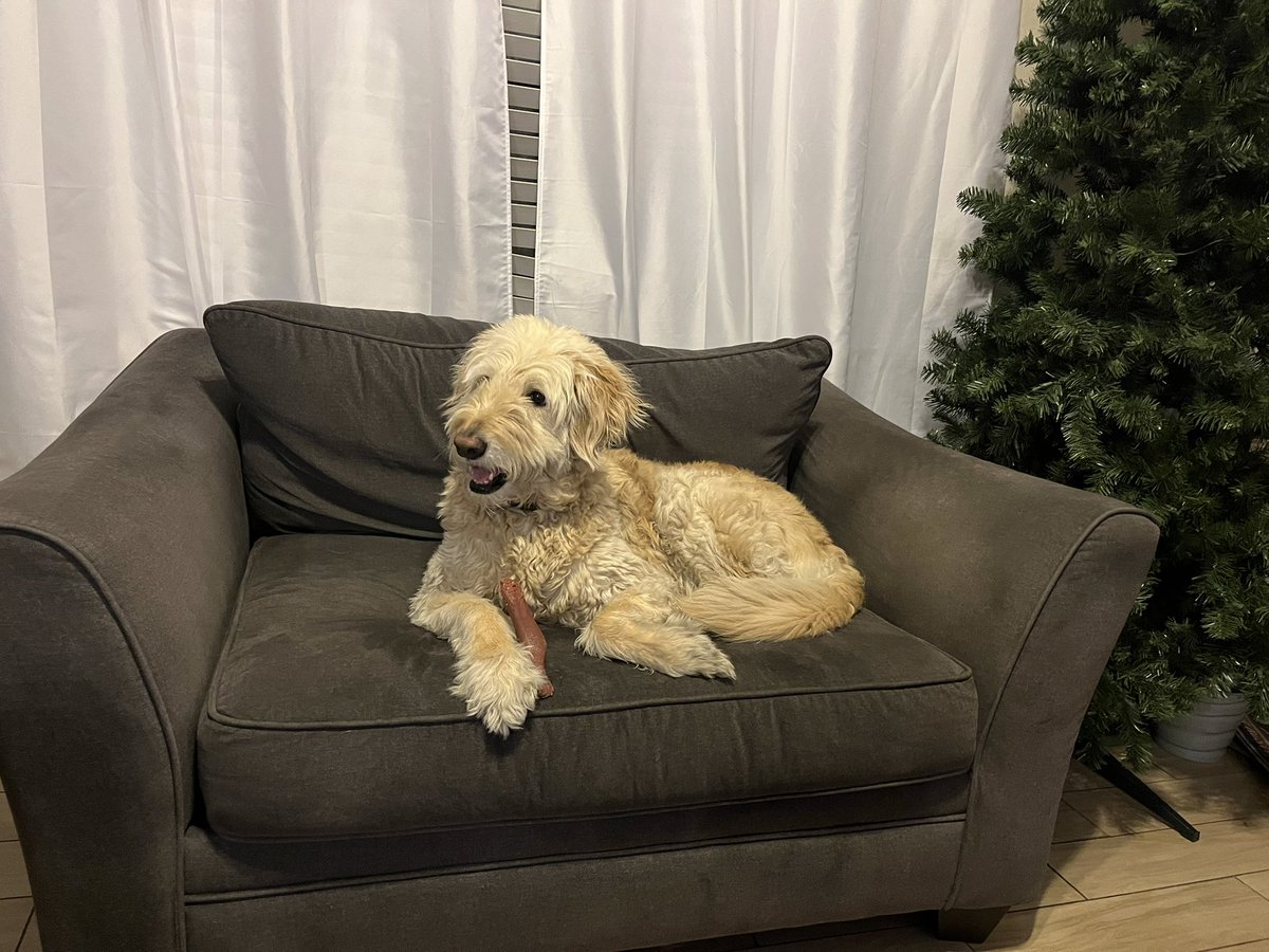 Erin Shields Coy tweet media