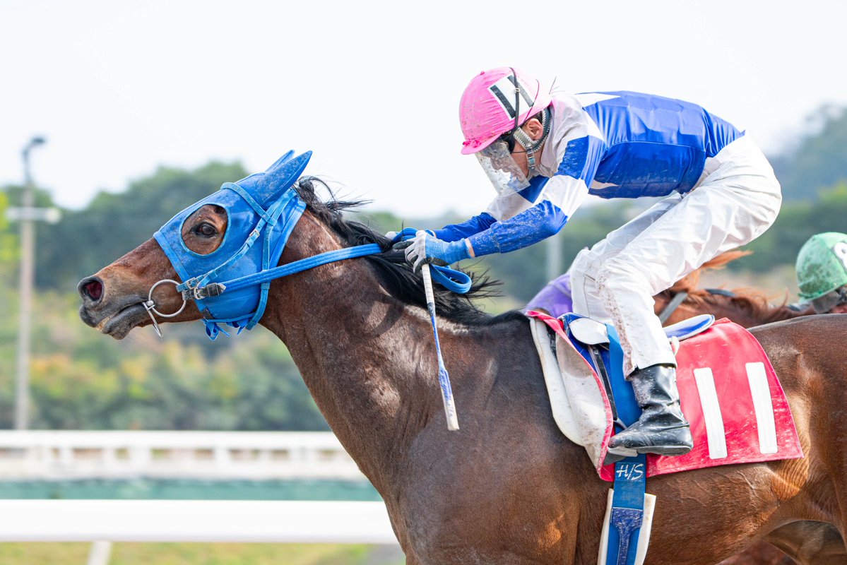 唐揚げの龍太 tweet media