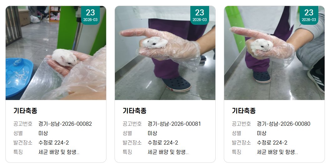 죠랭이네 tweet media