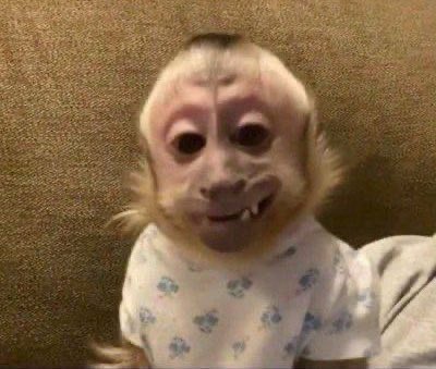 ⁤⁤rapha tweet media