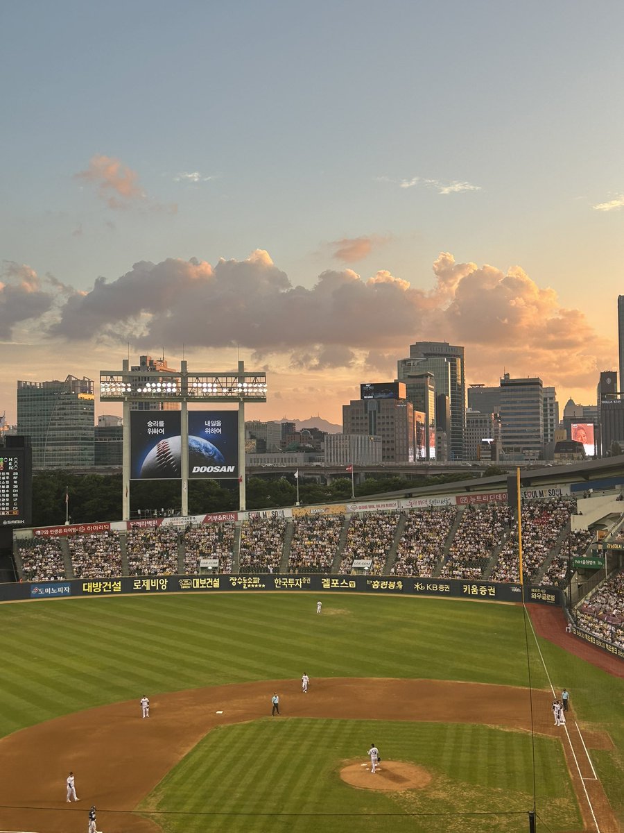 고곰마 tweet media