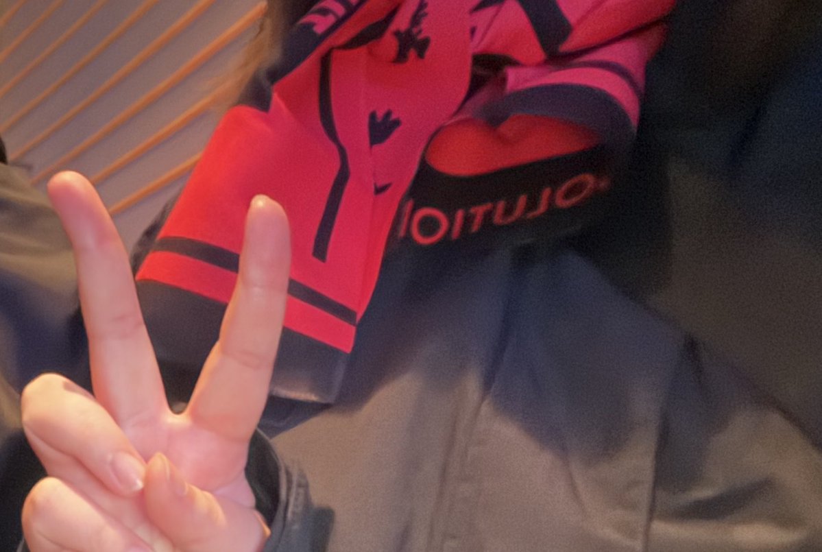 고곰마 tweet media