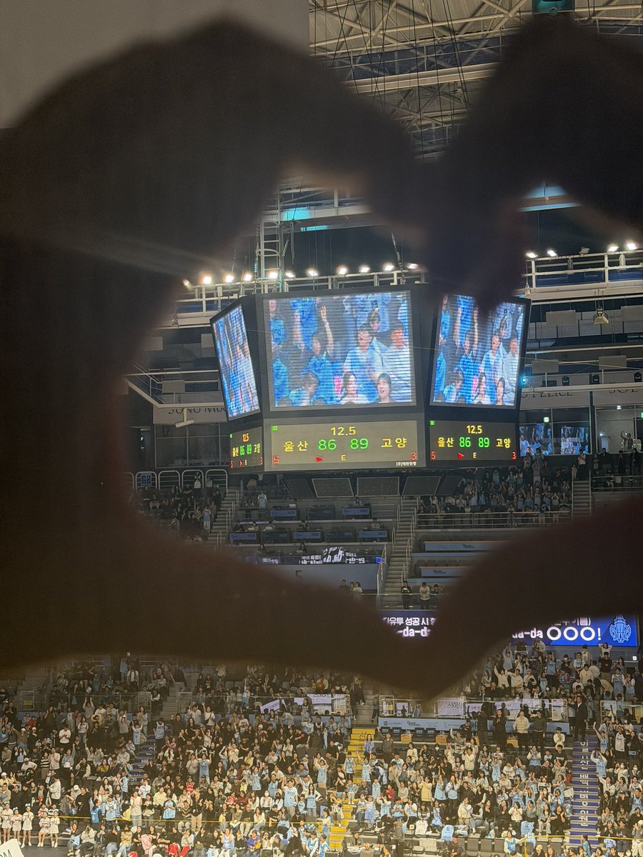 고곰마 tweet media