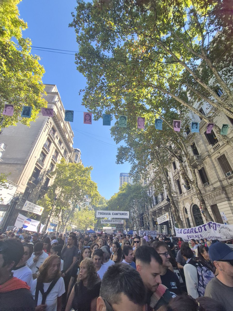 Silvitem 💚 tweet media